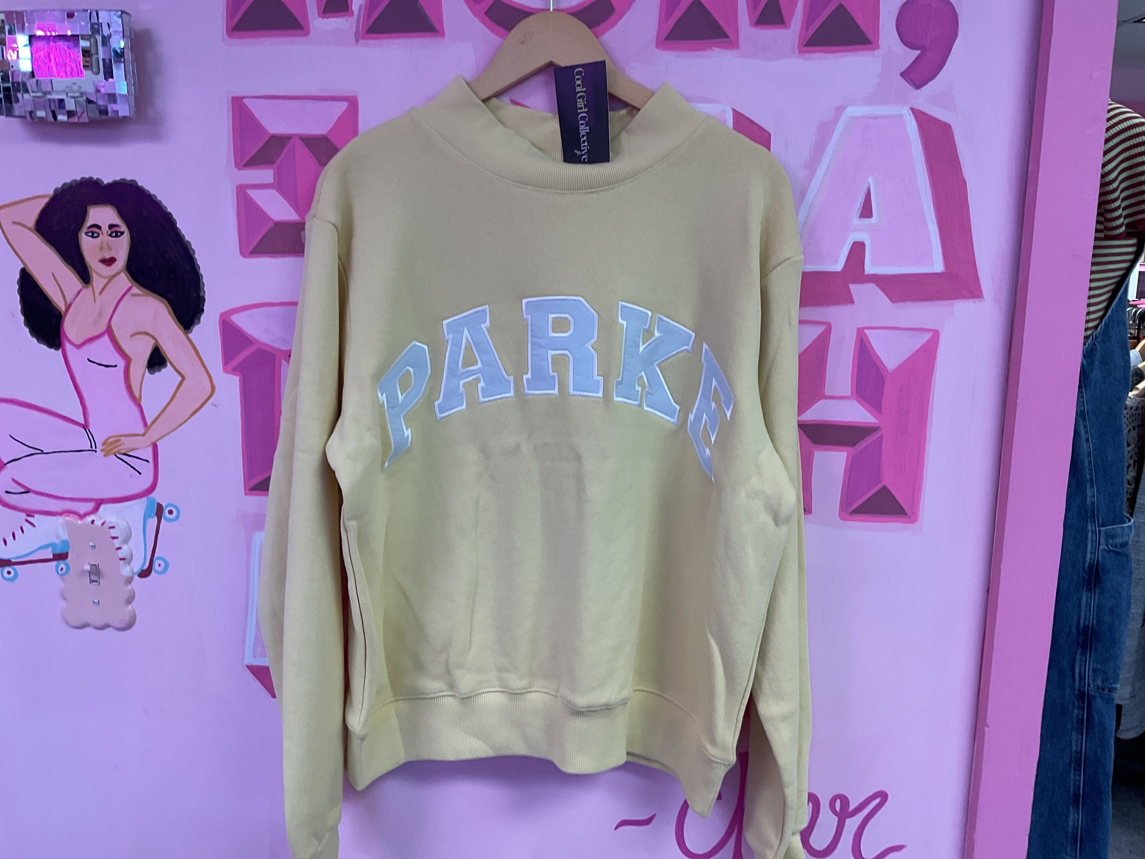 Parke birthday drop nwt s/m