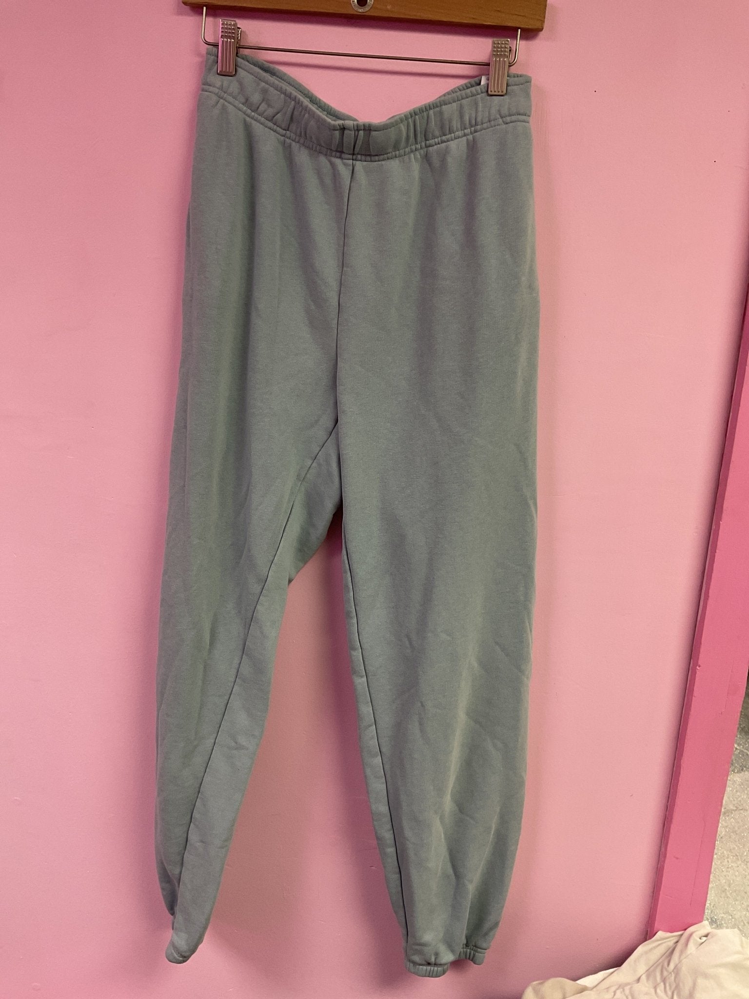 Aritzia Sweatpants - Cool Girl