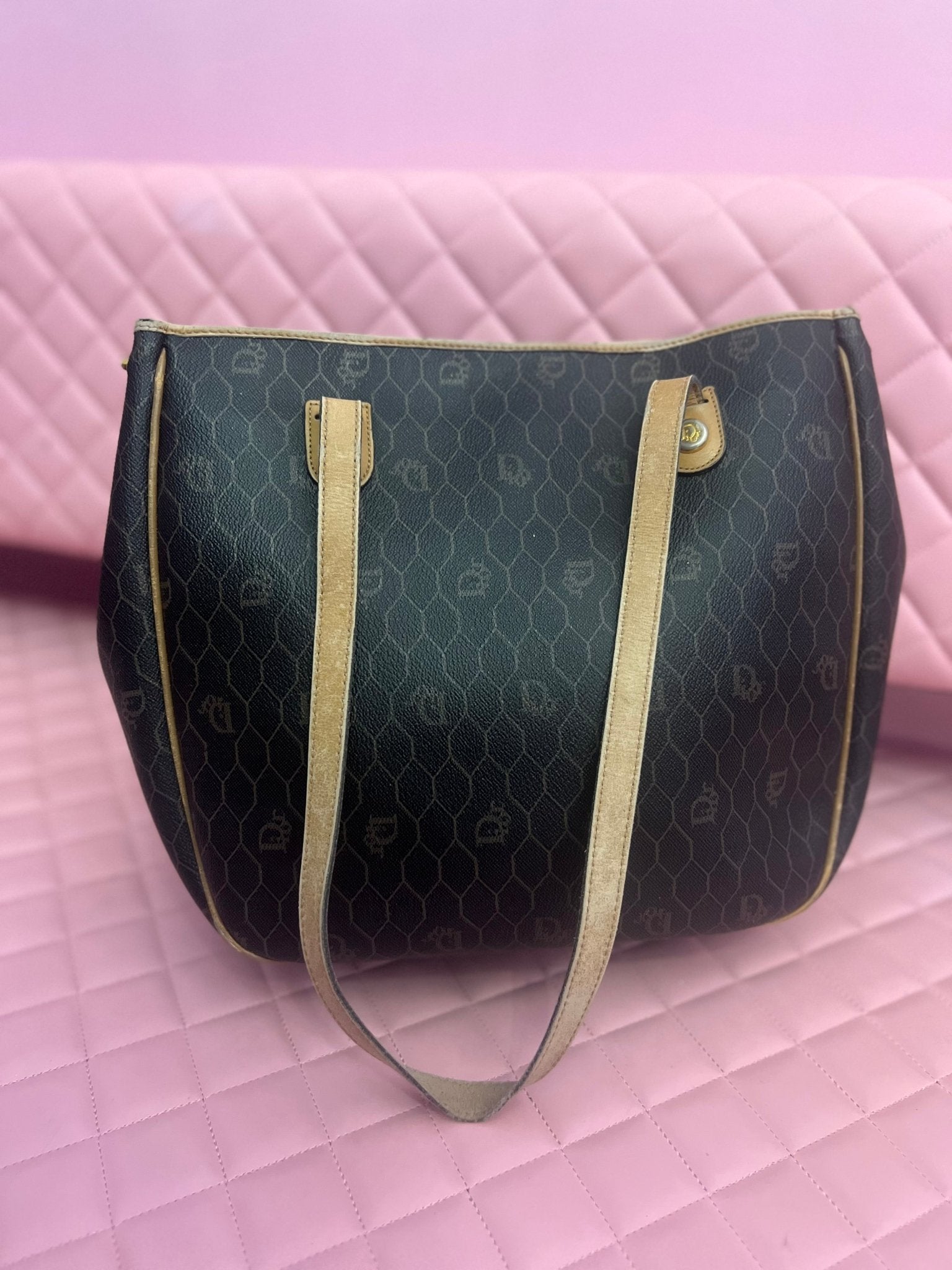 Dior Purse - Cool Girl