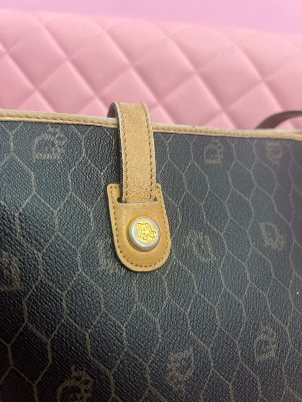 Dior Purse - Cool Girl
