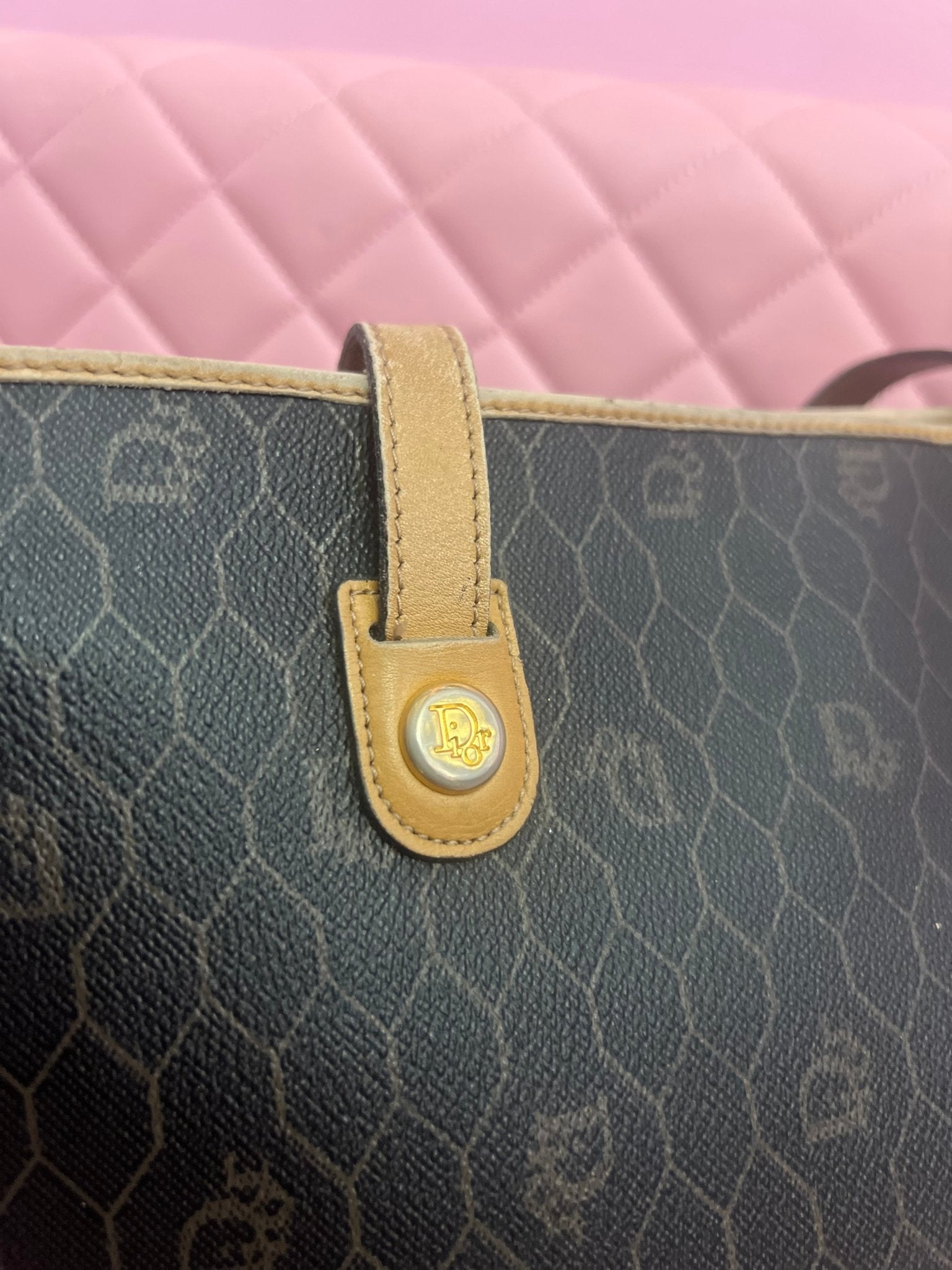 Dior Purse - Cool Girl